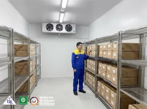 Cold Storage Supermarket